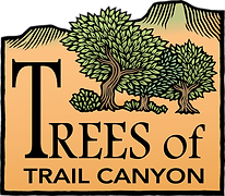 trees of trail canyon